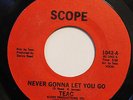 TEAC-NEVER GONNA LET YOU GO-PRIVATE SWEET MODERN SOUL 45 on SCOPE  Strong VG+