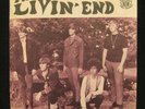 THE LIVIN' END Garage/Punk 45 Nr.MINT/Nr.MINT - Don't Let Me Be Misunderstood