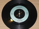 Party in Paris - UK Subs One sided 7 