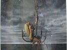 GREAT WHITE Hooked 1991 US ORG Sealed LP WITHDRAWN Cover BEAUTIFUL  Metal
