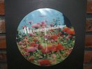 Acid Mothers Temple & The Melting Paraiso UFO 41st Century Splendid Man LP NM+