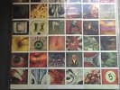 No Code [LP] by Pearl Jam (Vinyl, Aug-1996, Epic USA)