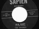 Mod Surf Tittyshaker SHARKS Big Surf/Spookareno Sapien HEAR Mad Mike Sound