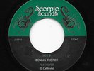 Funk Breaks 45 DENNIS THE FOX Piledriver b/w JUNIOR BENNETT Catfish Gumbo HEAR