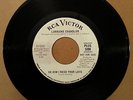 Lorraine Chandler-Oh How I Need Your Love/I Can't Change RCA, PROMO, No Soul, EX