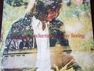 Ryley Walker - Primrose Green 12