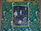 The Leaves-Hey Joe orig. 1966 Mira 3005 Mono LP Garage Psych Fuzz