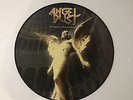 ANGEL DUST – ENLIGHTEN THE DARKNESS - PICTURE  LP Disk VINYL ultra rar
