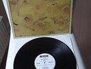 RIDE (Shoegazer)     Vinyl 12
