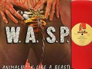 W.A.S.P. animal (f**k like a beast) 12 KUT 109 red vinyl french 1984 12