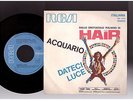 RENATO ZERO LOREDANA BERTE HAIR OST BEAT PSYCH RONNIE JONES TRIBU BILL ELLIOTT
