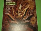 LP Dub Syndicate Research & Development On-U Sound Iration Steppas Zion Train