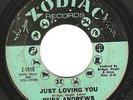 Northern Soul 45 RUBY ANDREWS 