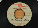 UNKNOWN/UNRELEASED ACETATE Secret Room 45 Ohio Moody Psych Folk Grace Slick HEAR