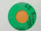 THE ROYAL REBELS Drive-In/Mojo Workout 45 (Kiski 2067) Rare Rockabilly Surf HEAR