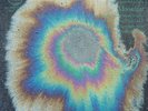 NEW SUPER RARE The Holydrug Couple - Moonlust Limited Vinyl LP x/200 noctuary