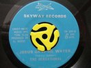 Gospel SWEET SOUL 45 The Sensational-Jesus Gave Me Water-Skyway M- HEAR