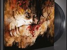 SHINING - IX - Everyone, Everything, Everywhere, Ends [BLACK] (DLP)