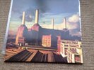 pink floyd animals