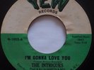THE INTRIGUES: I’m Gonna Love You YEW NORTHERN SOUL 45 hear it