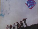 Lynyrd Skynyrd - Nuthin' Fancy 1980 Vinyl LP Records :Nothing Band Southern