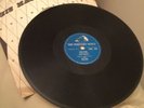 Elvis Presley Blue Moon / I Dont Care If The Sun Dont Shine 78rpm