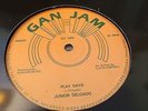 Junior Delgado Play Days Rare Killer Roots 12