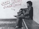 In The Jungle Groove - 2 DISC SET - James Brown (2014, Vinyl NEW)