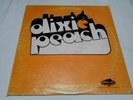 RARE DAYTON OHIO PRIVATE SOUTHERN PSYCH ROCK LP DIXIE PEACH S/T RAINTREE MINT