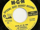 GROUP SOUL 45 NORTHERN by THE CHARADES HEAR CLIP