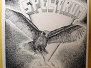 SPECTRUM - First Flight - '77 private MN soul rock LP - guitar + drum breaks