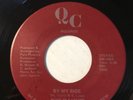 PURE PLEASURE   By My Side / Dancin Prancin   QC 45 modern soul VG+/EX