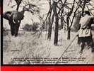 ENRICO SIMONETTI. KIRONGOZI MESTRE CAÇADOR. LP. 25 cm. Brasile. 1957.