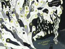 Fetch [lp] [VINYL], 0655035200910, Melt Banana