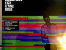 Noel Gallagher's High Flying Birds 2015 RSD Vinyl Only 500 Pressed