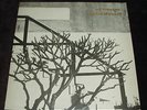 Ed Kuepper - Electrical storm    VINYL LP HOT RECORDS