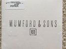 Mumford and Sons Believe 7