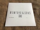 Mumford and Sons Believe 7