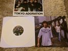 The Stone Roses - Tokyo Adoration Rare Bootleg White Marbled Vinyl Record LP