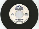 Obscure 45 R&B/Doowop Merry-Go-Round-103 (DJ) Charters 