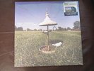 REAL FRIENDS - MORE ACOUSTIC SONGS EP- Picture Disc - Limited Edition - RSD 2015