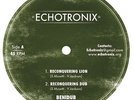 BENIDUB Reconquering Lion / 6.00 Dub ECHOTRONIX 10