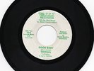 Rare Blue Eyed Soul From Indiana, The Survivors, Good Baby, Valli, VG++