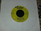 THE CANADIAN ROGUES 45 Have You Found Somebody  '65 FULLER GARAGE  INSANELY RARE