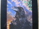The Stranglers - The Raven 3D sleeve