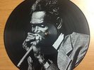 Walter Horton- Harmonica Genius Rare 12'' Vinyl Picture Disc 1986 Netherlands NM