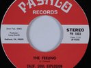 Funk 45 CALIF. SOUL EXPLOSION Feeling PASHLO NM HEAR