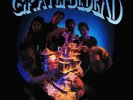 GRATEFUL DEAD**BUILT TO LAST (180 GRAM/GATEFOLD)**VINYL