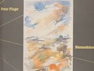Peter Finger Niemandsland NEAR MINT ACOUSTIC MUSIC Vinyl LP
