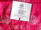 LITTLE BOOTS * REMEDY - MIXES * US 8 TRK PROMO w/ BANDANA * HTF * HANDS